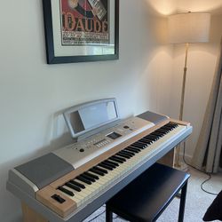 FREE- Yamaha YPG 625