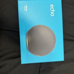 Echo