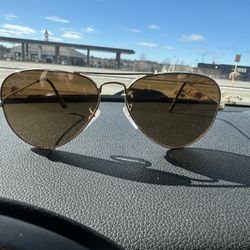 Polarized Aviators 