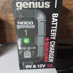 Genius Battery Charger