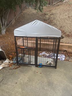 Dog Kennel