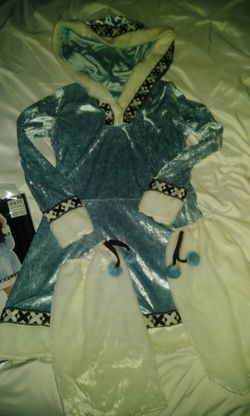 Snow princess costume