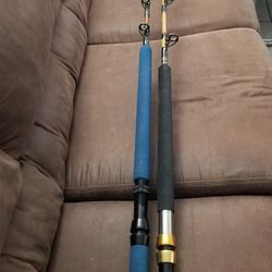 Fishing rods 