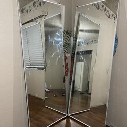 Glass Mirror Closet Doors