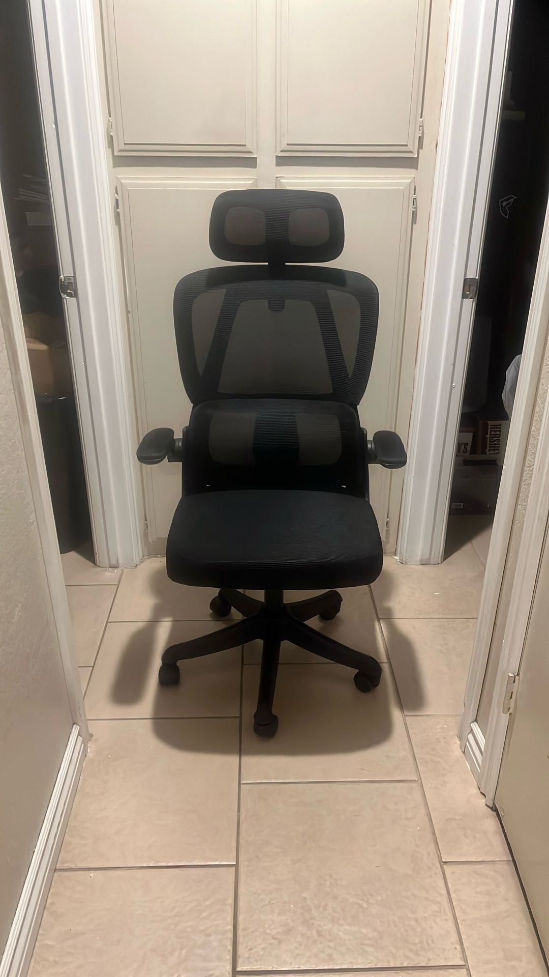 Ergonomic Office Chair