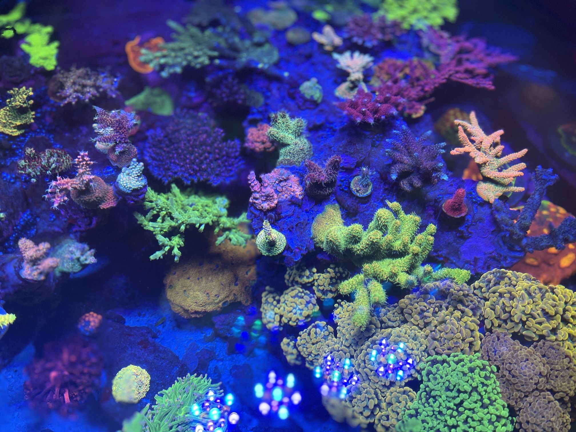 Ornamental Fake Aquarium Reef Aquarium Decor 