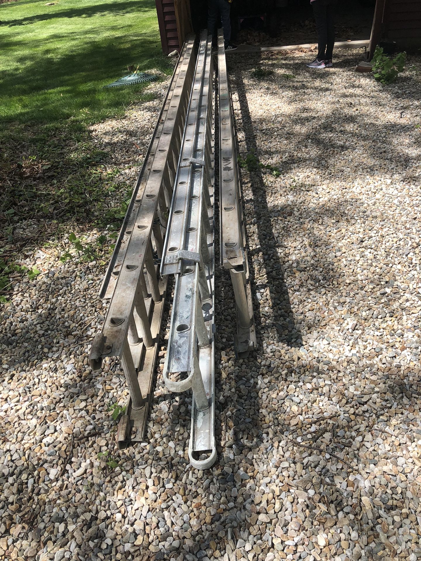 Ladders For Sale