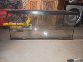 Large Glass Aquarium Tank with Black Frame