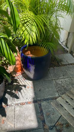 Pot