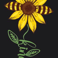 Plus, size, clothing, sizes: 22 -24, 3x & 4x