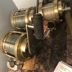 Fin Not Reels 