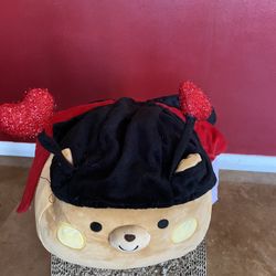 Lady Bug Pet Costume - Large