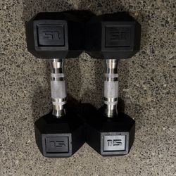 Dumbbells (15lbs)