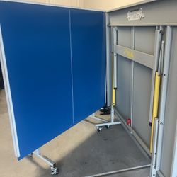 Free Ping Pong Table