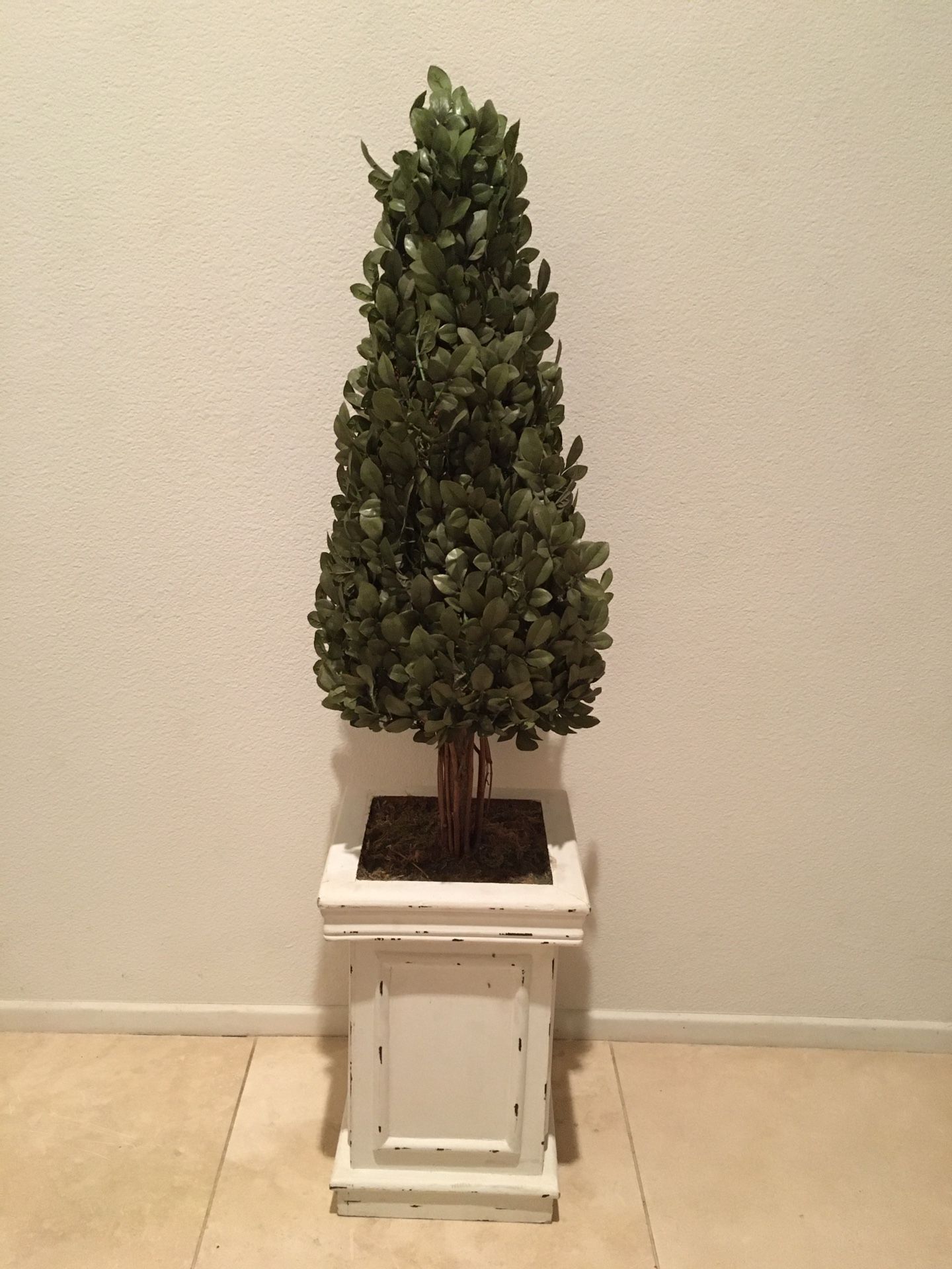 Topiary