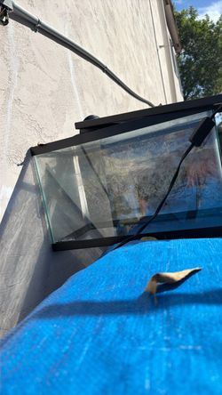 Fish tank