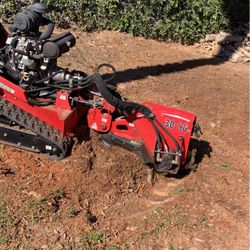 Stump Grinder Grinding Removal