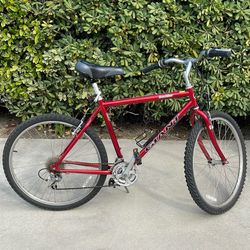 GIANT Mountain Bike - Men’s 19.5”