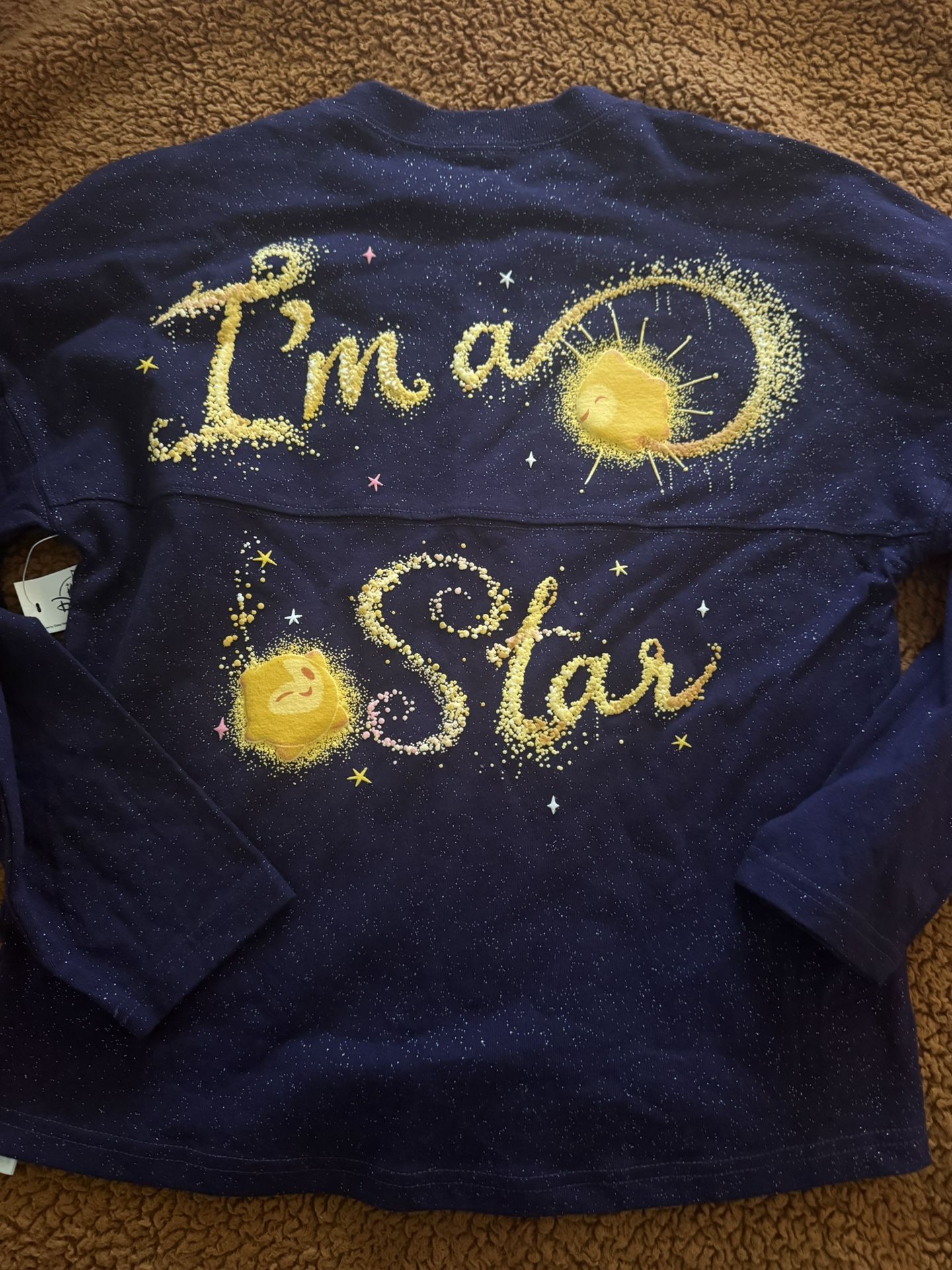 Disney Wish Spirit Jersey
