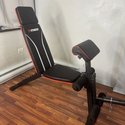Exercise Bench with Leg Extension 