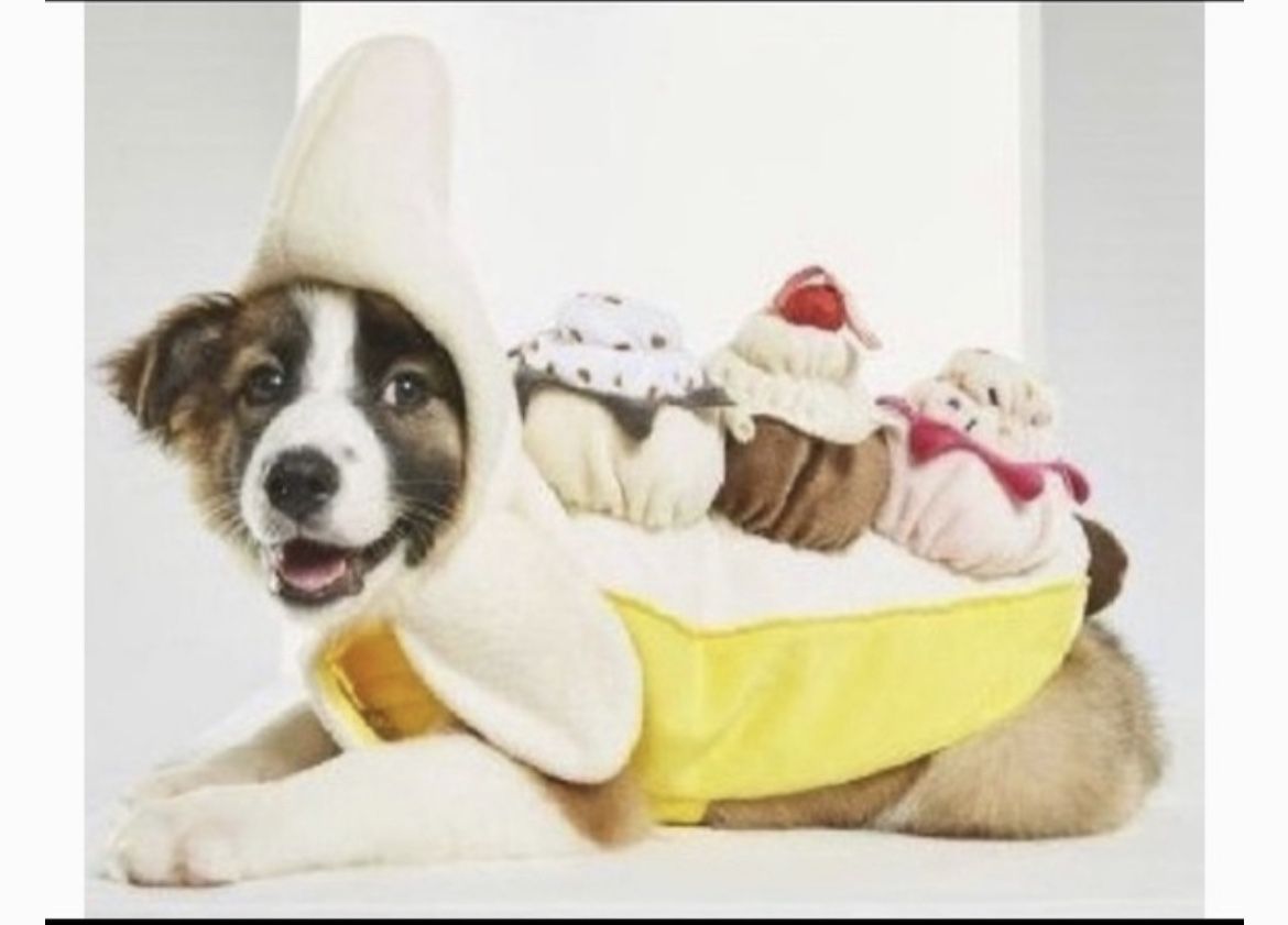 Dog Costume Bananas Split Large