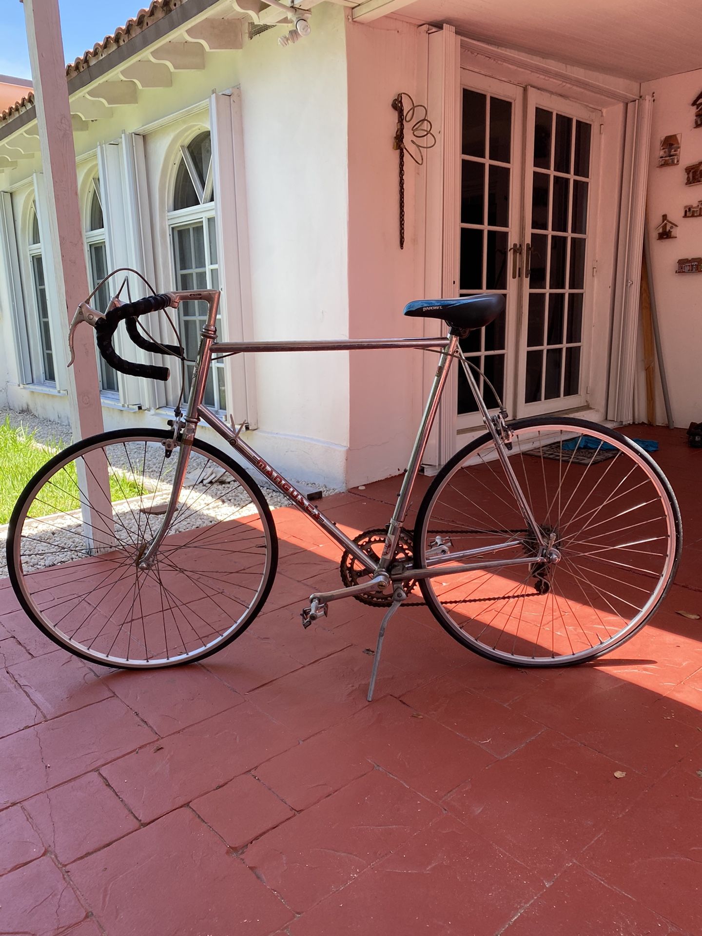 Old school Mangusta Bike
