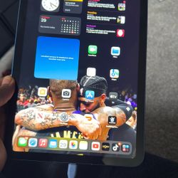 Apple iPad 