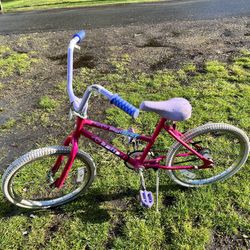 Girls Bicycle 
