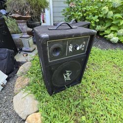 Peavey Guitar With 2 Speakers