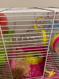 Free hamster cage with all accessories