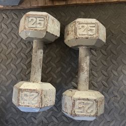 25 Pound Dumbbell Set 