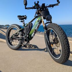 Freesky Electric Bike