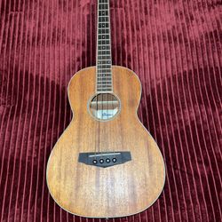 Ibanez PNB14E Acoustic Bass 