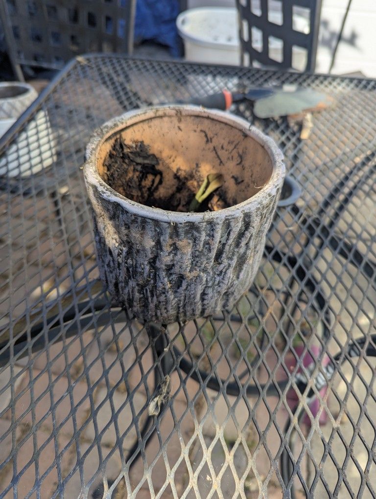 Wood Ceramic Pot 6"