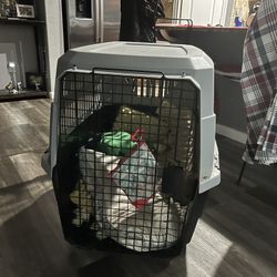 Large Dog Crate 