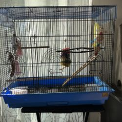Parakeet cage