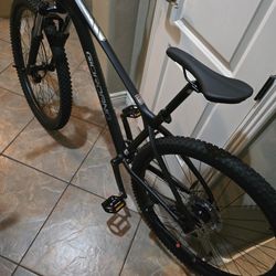 Intrepid 10x1 Hyd Brakes 