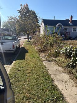 Gutter clean out