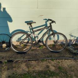 Incline/Mountain Bike