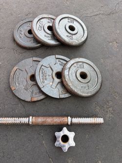 32LB Cast Iron Adjustable Dumbbell Set – Plates + Handle