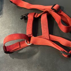 Medium Red Harness