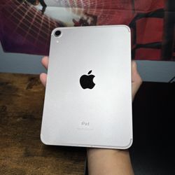 Ipad mini 6th gen 256gb