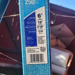 Werner 6ft Ladder