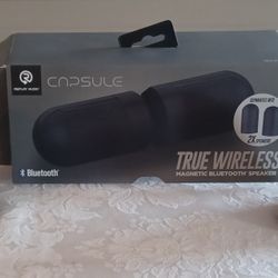 Replay Audio Capsule True Wireless Magnetic Bluetooth Speakers~Open Box 