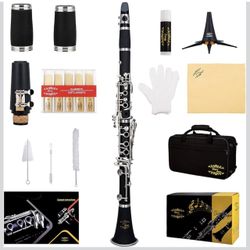 Professional Ebonite Bb Clarinet 