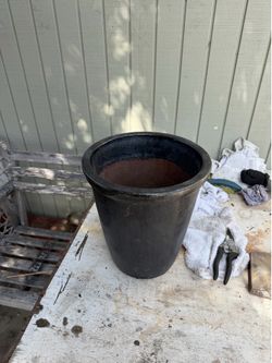plant pottery pot