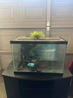 Fish tank