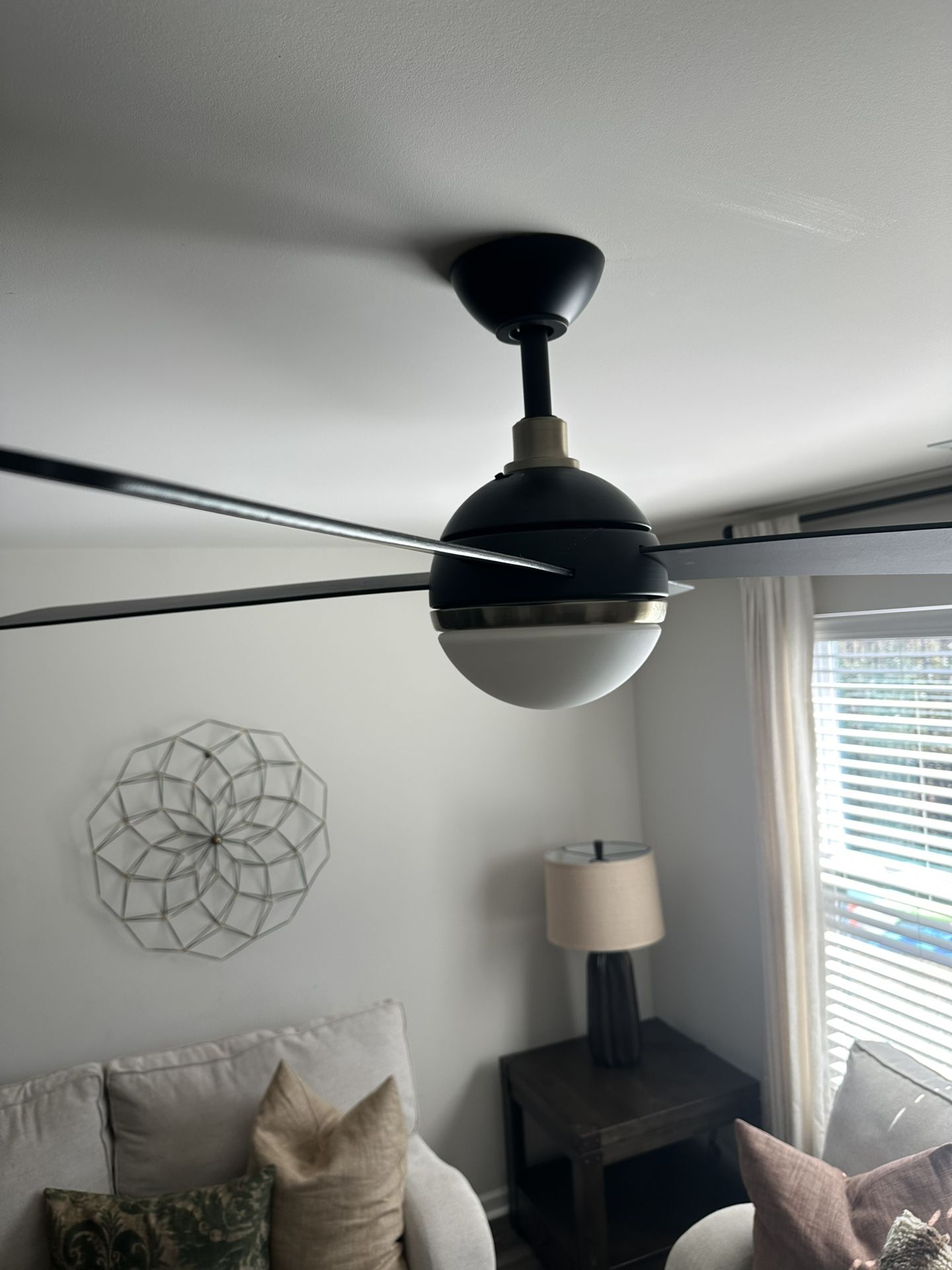 56in Black Fan W/Gold Trim
