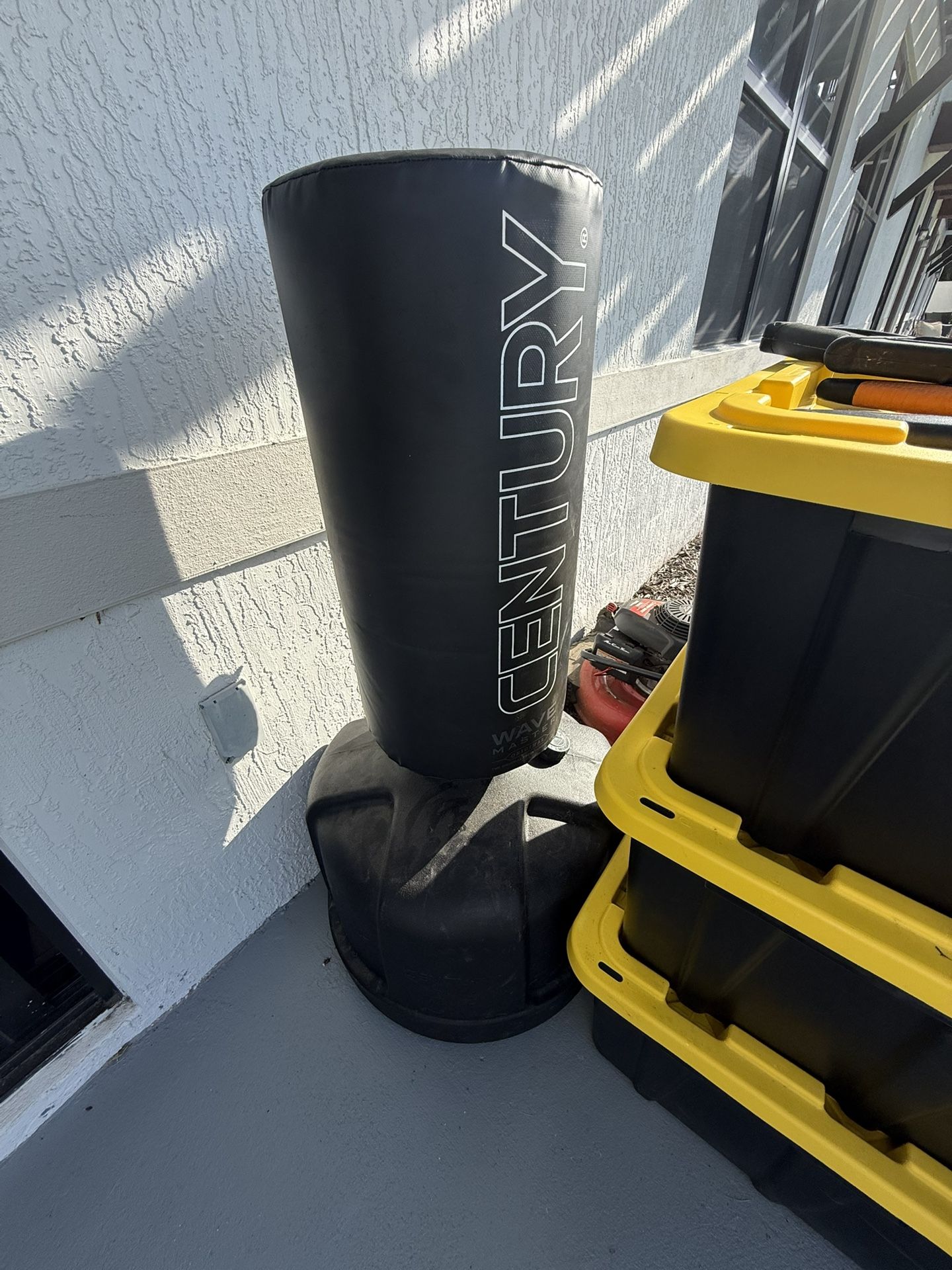 Century Punching Bag With Boxing Gloves
