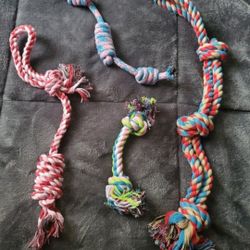 Dog Toys Brand New 
